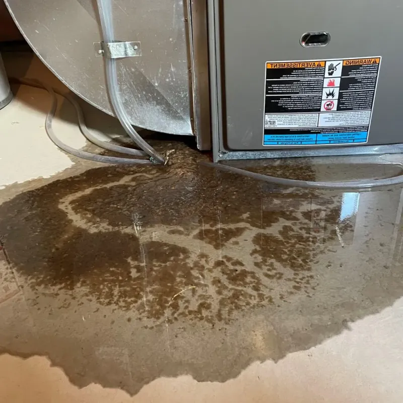 Pipe Burst and Leak Restoration in New Providence, NJ